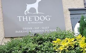 The Dog Inn Canterbury